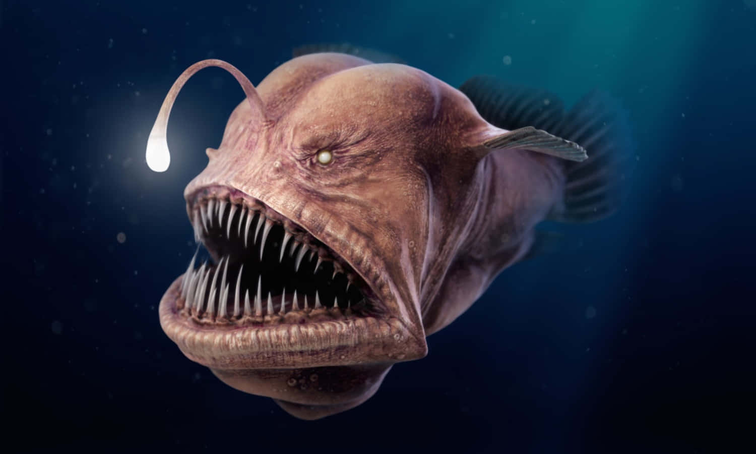 Sea Creature 桌布 壁紙 — 一條帶有發光誘餌和尖銳牙齒的威脅性深海鮟鱇魚在深藍色水中游動。