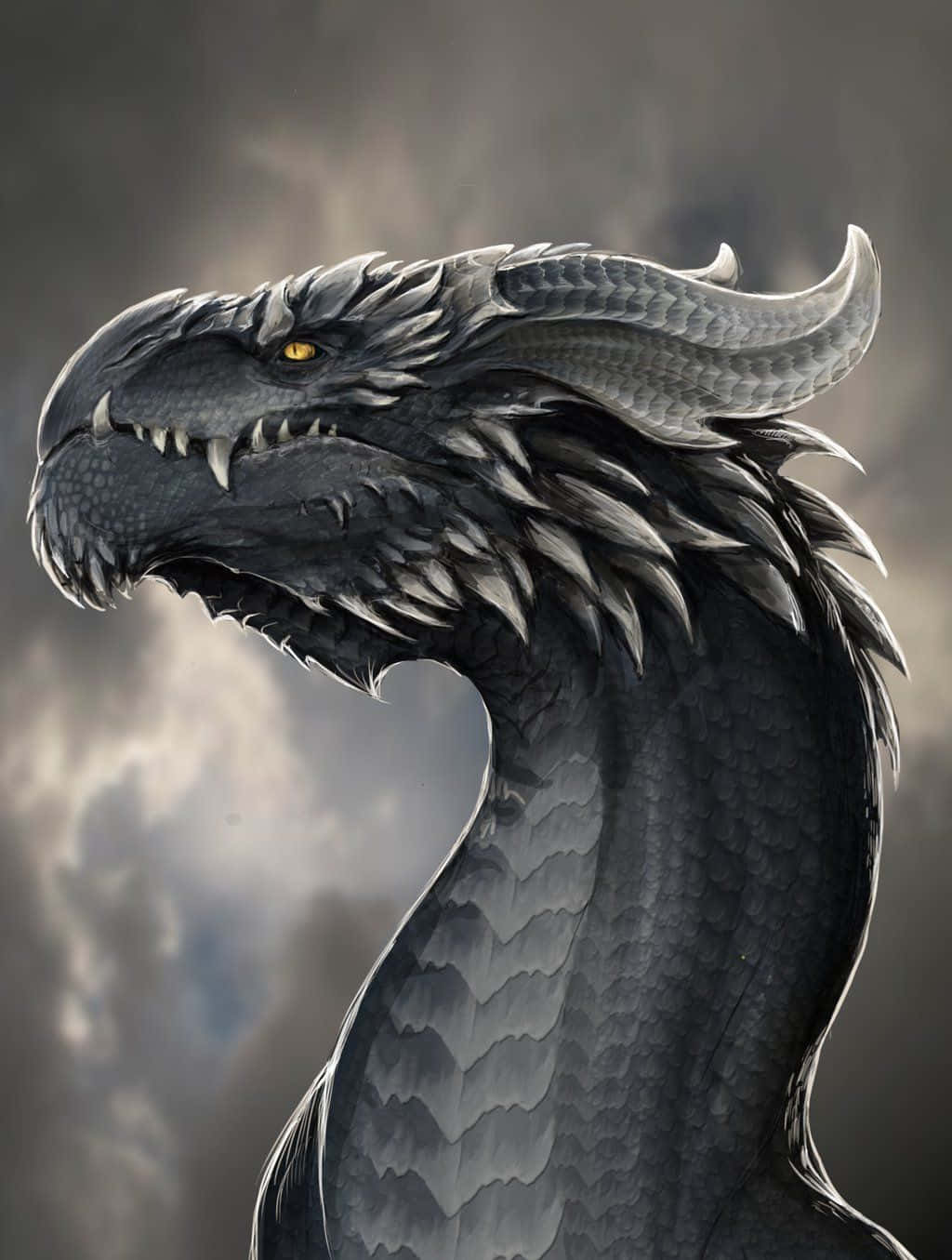 Dragon Profile 桌布 壁紙 — 一條帶有發光黃色眼睛和尖銳牙齒的威脅性黑龍，在暴風雨的灰色天空下向前凝視。