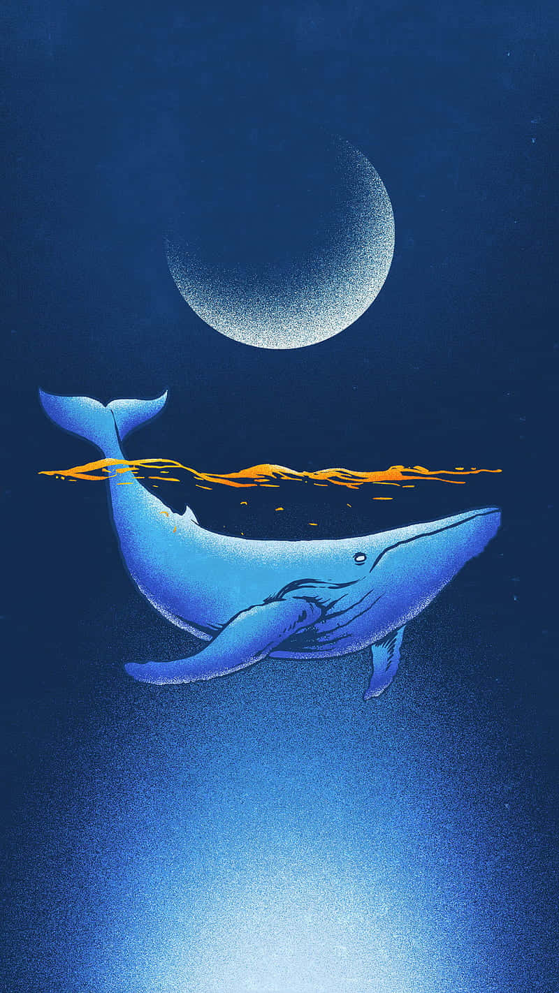 Cute Sea 桌布 壁紙 — 一條平靜的藍鯨在深海中滑行，下方是閃爍的彎月，水面泛起金色漣漪。