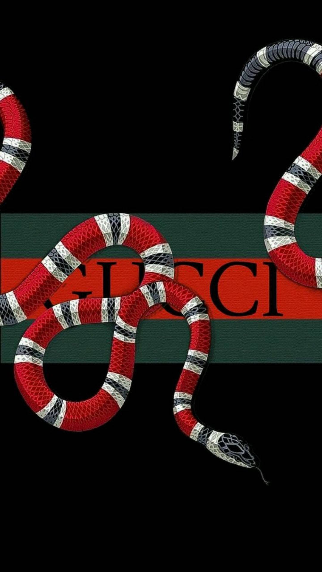 動物 桌布 壁紙 — 一條引人注目的紅白黑蛇纏繞在醒目的 Gucci 標誌上，背景為純黑色。