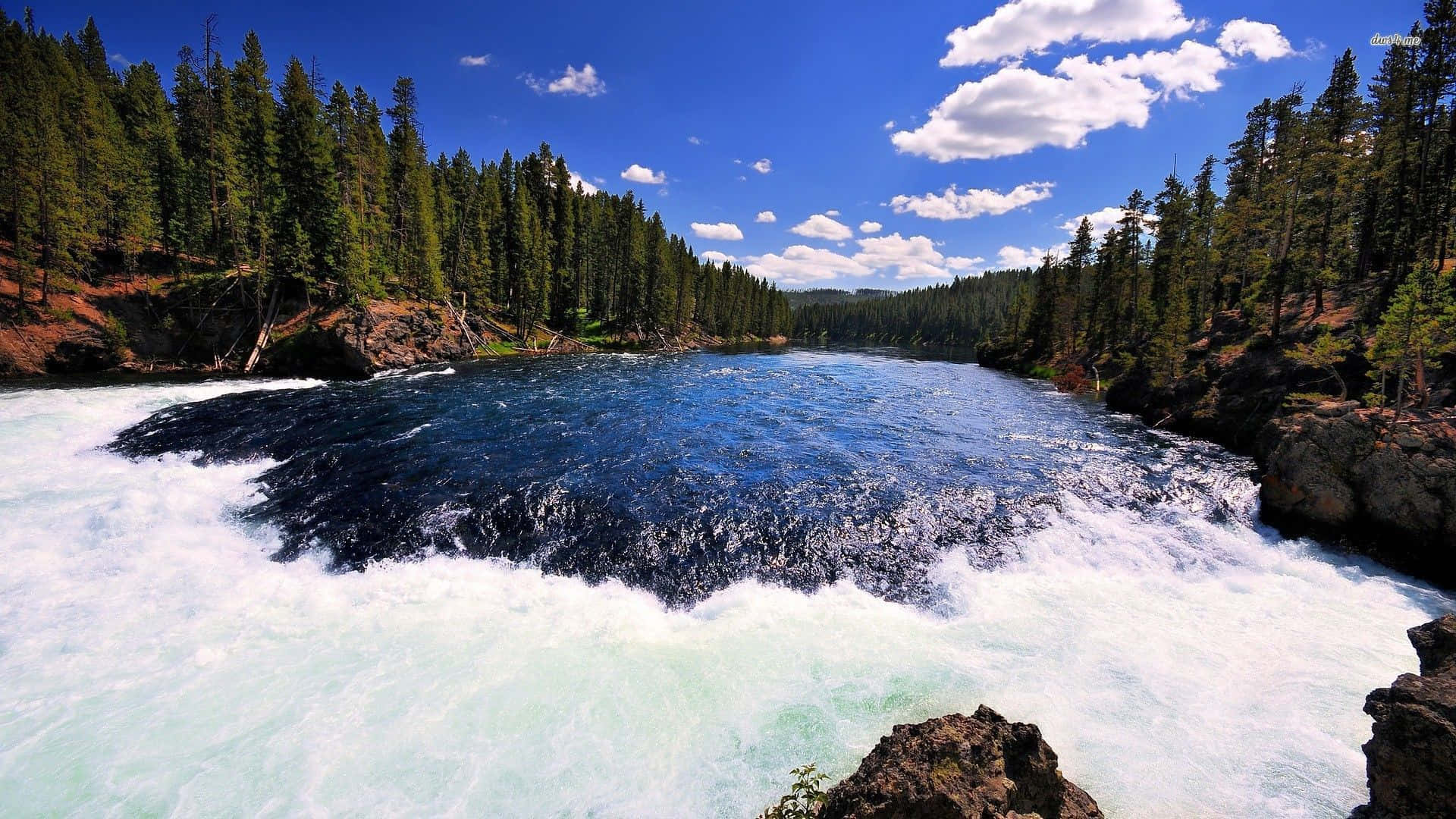 Yellowstone 桌布 壁紙 — 一條強勁的河流在森林峽谷中衝過岩石，天空湛藍，白雲朵朵。