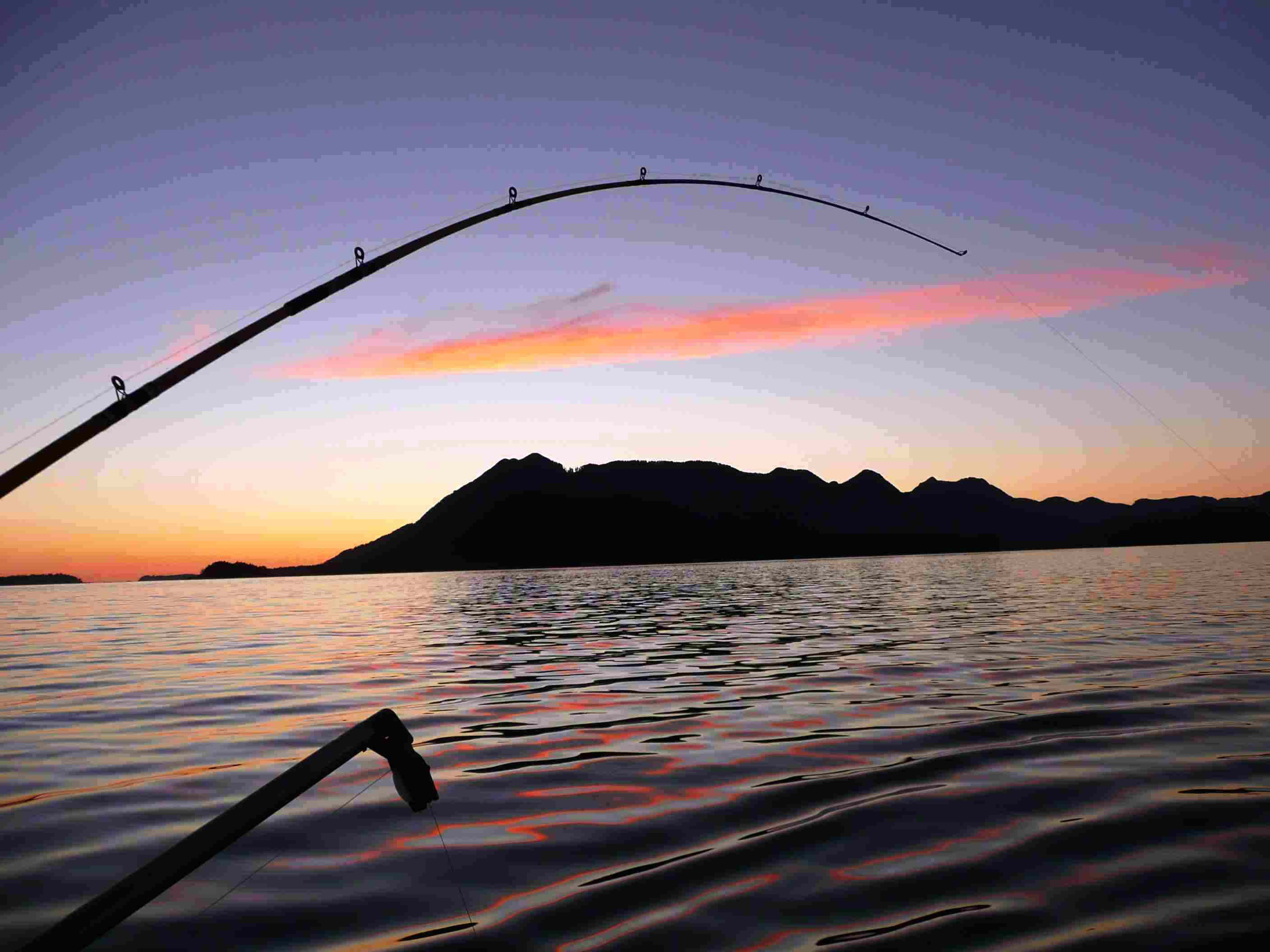Fishing Rod 桌布 壁紙 — 一條彎曲的釣竿在平靜的水面和遠山之上，以鮮豔的日落天空為背景形成剪影。