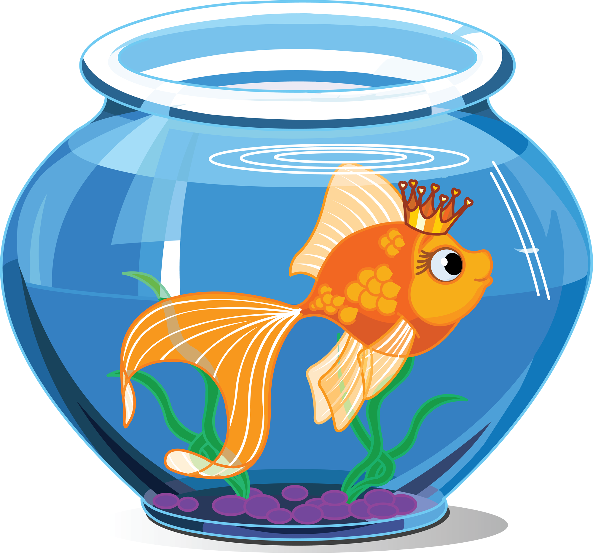 水族箱 桌布 壁紙 — 一條戴著皇冠的卡通金魚在一個有綠色植物和紫色礫石的藍色魚缸中游動。