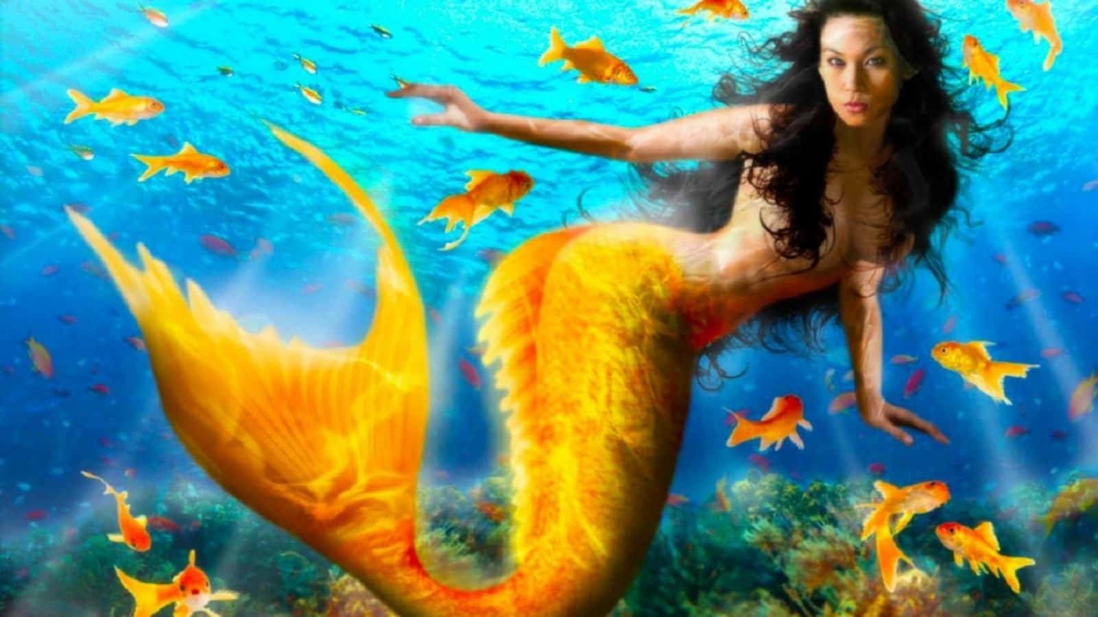 Mermaids 桌布 壁紙 — 一條擁有火焰般金色尾巴的美人魚，在陽光照射的藍色海水中滑行，周圍環繞著成群橙色的魚。