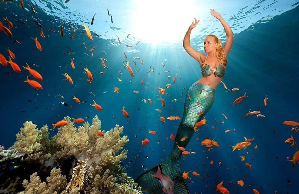 美人魚 桌布 壁紙 — 一條擁有綠色鱗片尾巴的美人魚優雅地在珊瑚礁上方游動，陽光穿過她周圍的海水照射下來。
