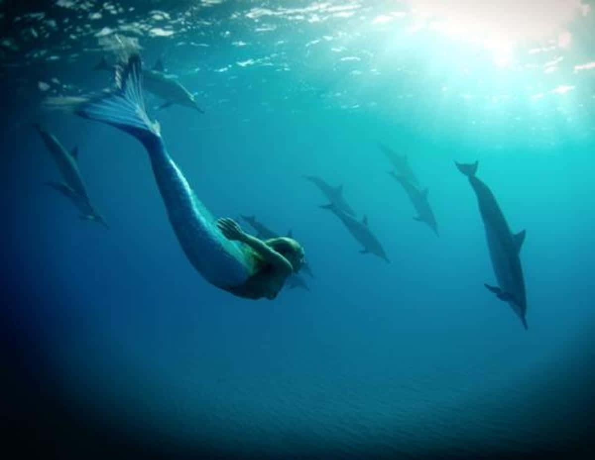 Real Mermaid 桌布 壁紙 — 一條擁有藍色鱗片尾巴的美人魚在陽光普照的碧綠海洋中，被一群海豚圍繞著，優雅地在水下滑行。