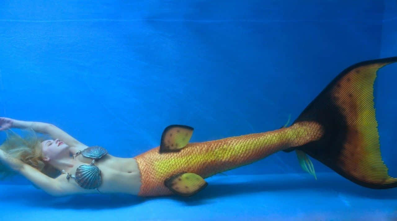 美人魚 桌布 壁紙 — 一條擁有金橙色鱗片尾巴和貝殼上衣的美人魚，在清澈的藍色水中優雅地漂浮。
