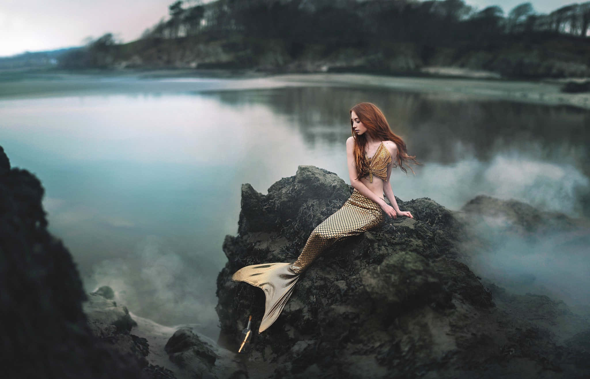 Real Life Mermaid 桌布 壁紙 — 一條擁有飄逸紅髮和金色鱗尾的美人魚，沉思地坐在霧氣瀰漫的岩石海岸旁平靜的水邊。