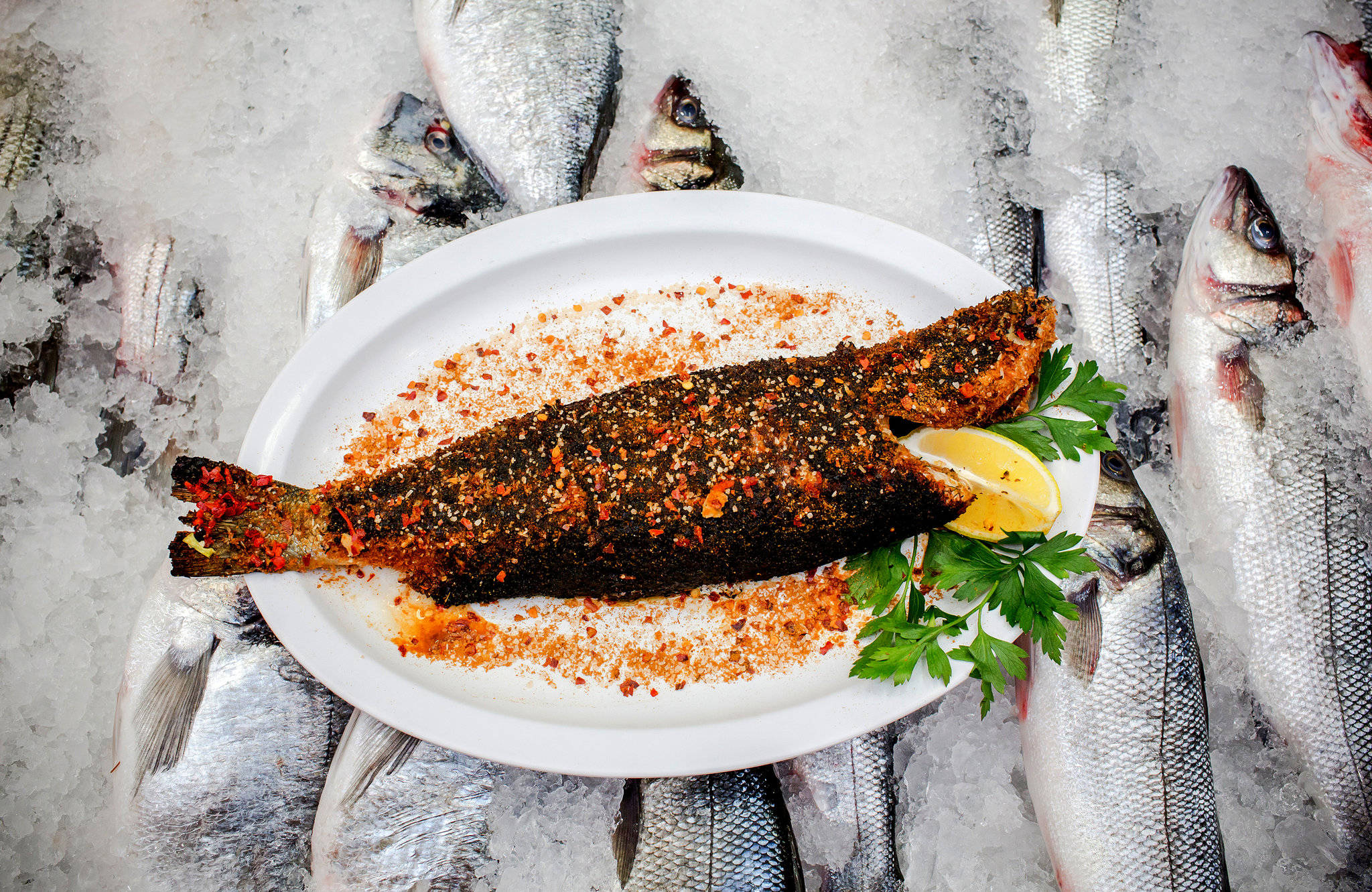 Seafood 桌布 壁紙 — 一條整條烤魚，用紅辣椒片和歐芹調味，放在白色盤子上的冰床上，周圍是新鮮的生魚。