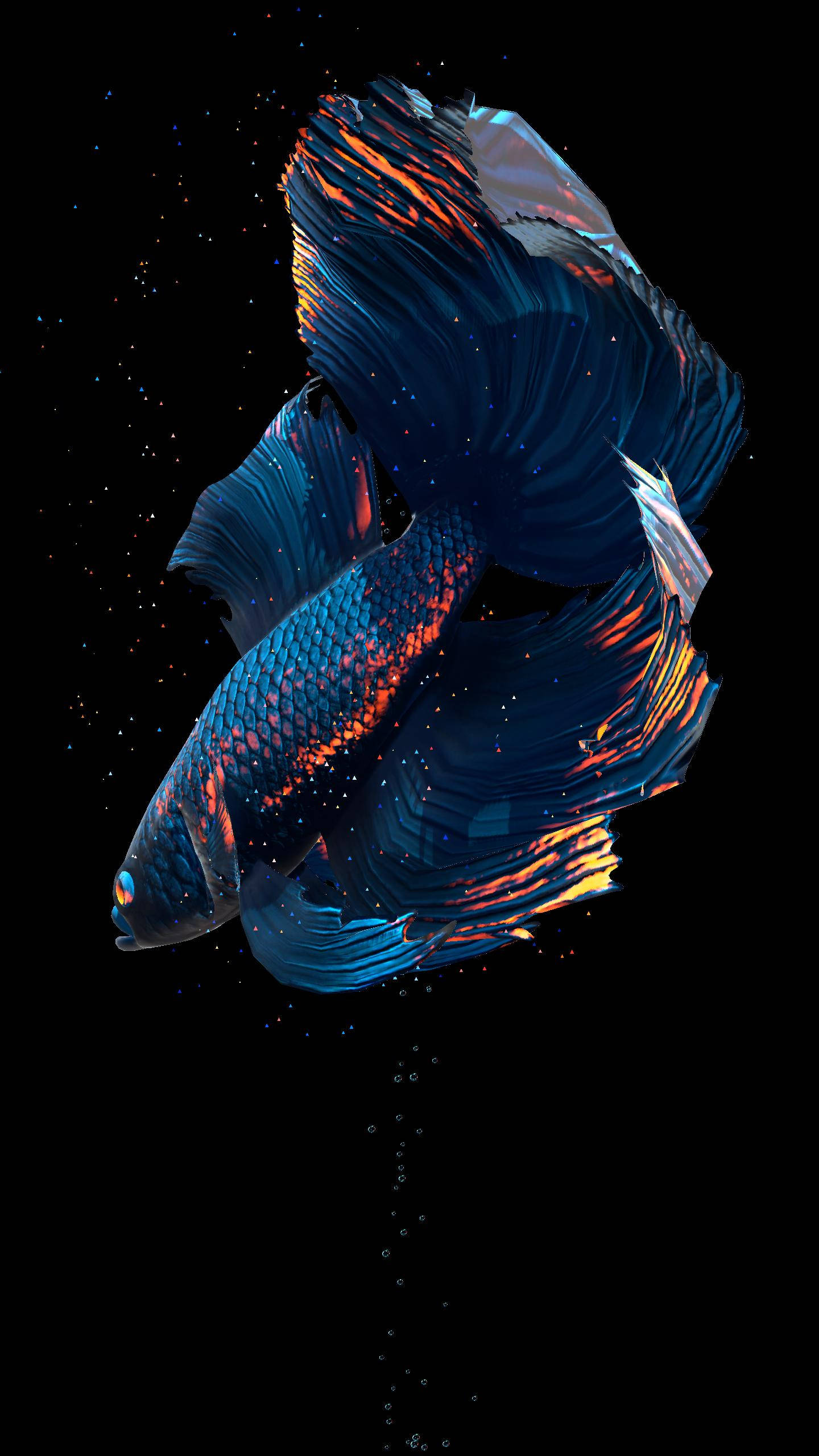 動態圖 桌布 壁紙 — 一條數位渲染的鬥魚，帶有流動的藍色和橙色魚鰭，在佈滿星星的黑色虛空中滑行，周圍有漂浮的氣泡。