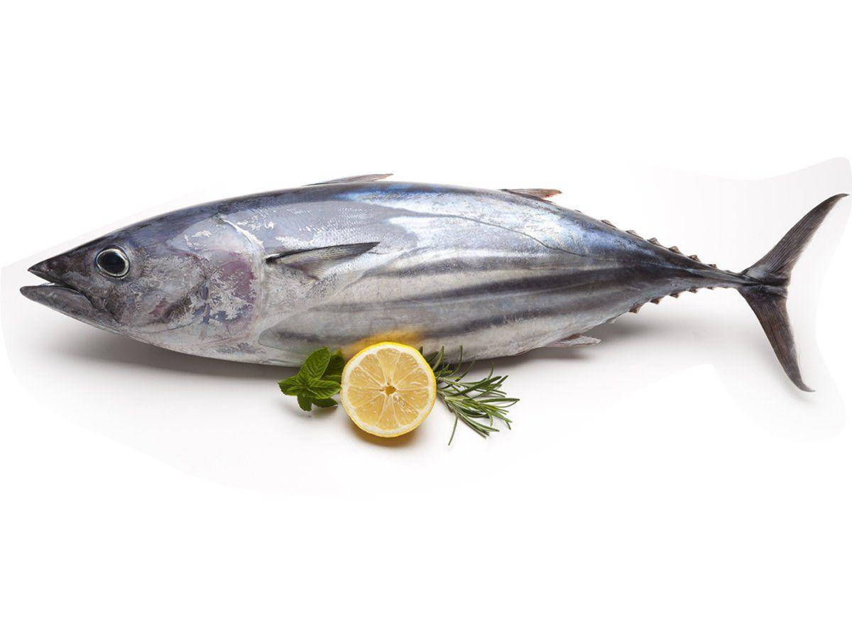 魚 桌布 壁紙 — 一條新鮮的完整鮪魚，帶有銀色鱗片，旁邊放著一片檸檬和迷迭香，背景為白色。