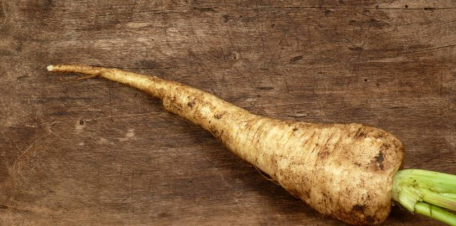 Parsnip 桌布 壁紙 — 一條新鮮的歐洲防風草，帶有綠色莖，斜放在經風化的木質表面上。