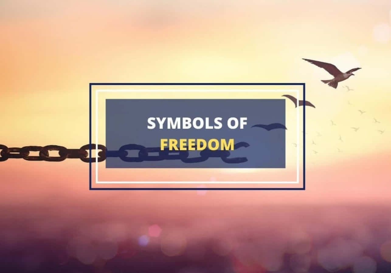 Freedom 桌布 壁紙 — 一條斷裂的鎖鏈在夕陽天空下掙脫束縛，鳥兒飛過一個帶有自由象徵的框式標誌。