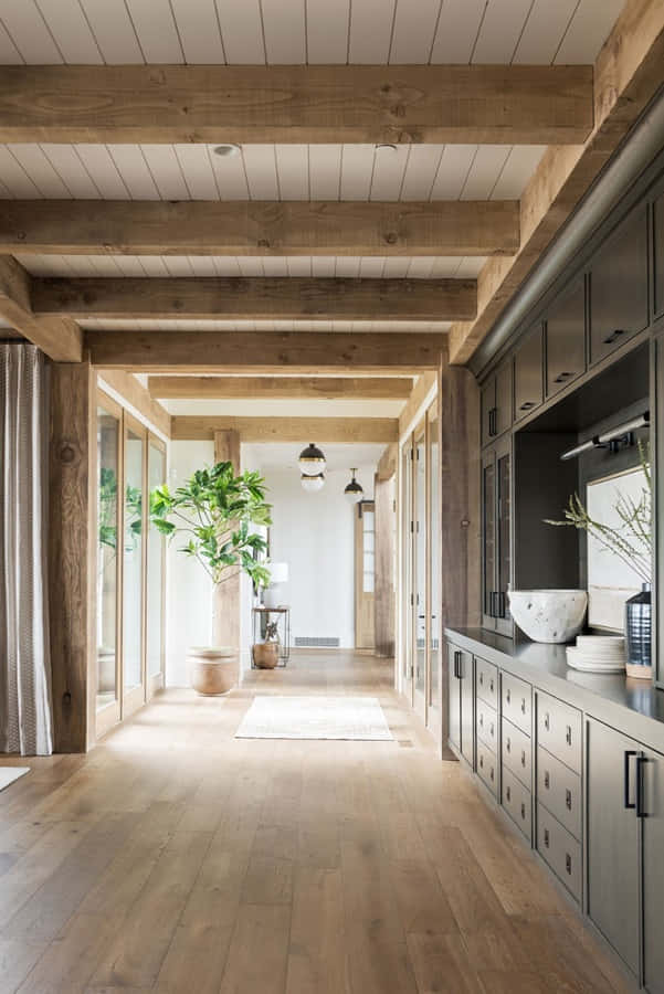 Shiplap 桌布 壁紙 — 一條明亮的鄉村風格走廊，帶有裸露的木樑和地板，通往一個陽光充足的房間，房間裡有一棵盆栽樹。