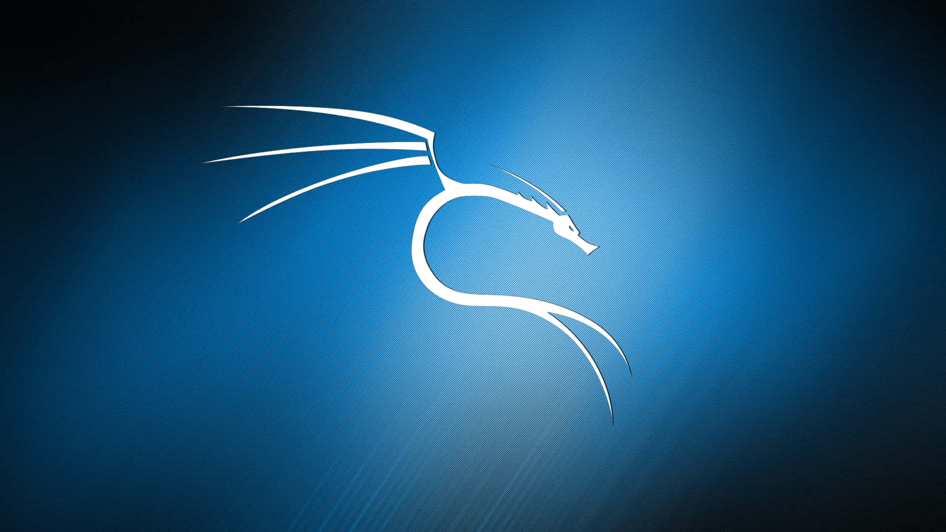 Kali Linux 桌布 壁紙 — 一條時尚的白色龍剪影在漸變藍色背景上滑行，背後散發出微妙的光線。