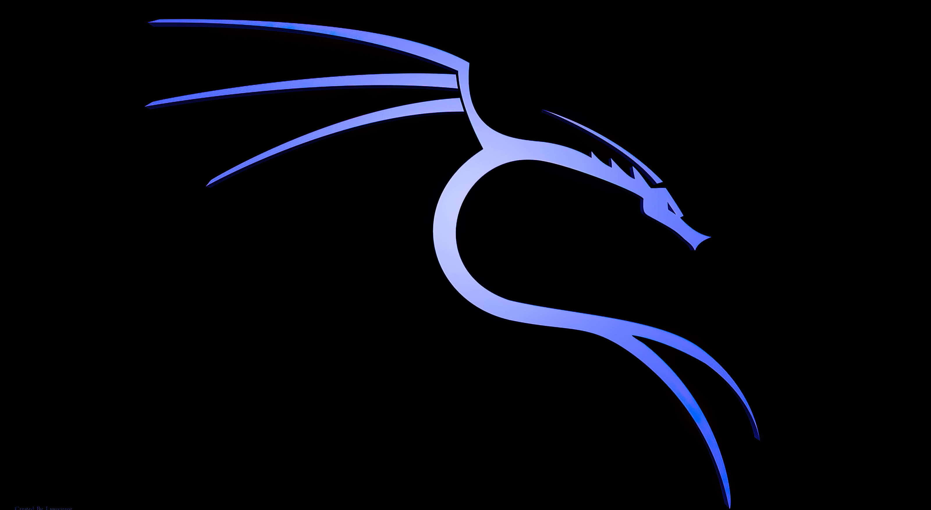 Kali Linux 桌布 壁紙 — 一條時尚的藍色龍剪影在純黑色背景上發光，帶有漸變陰影。