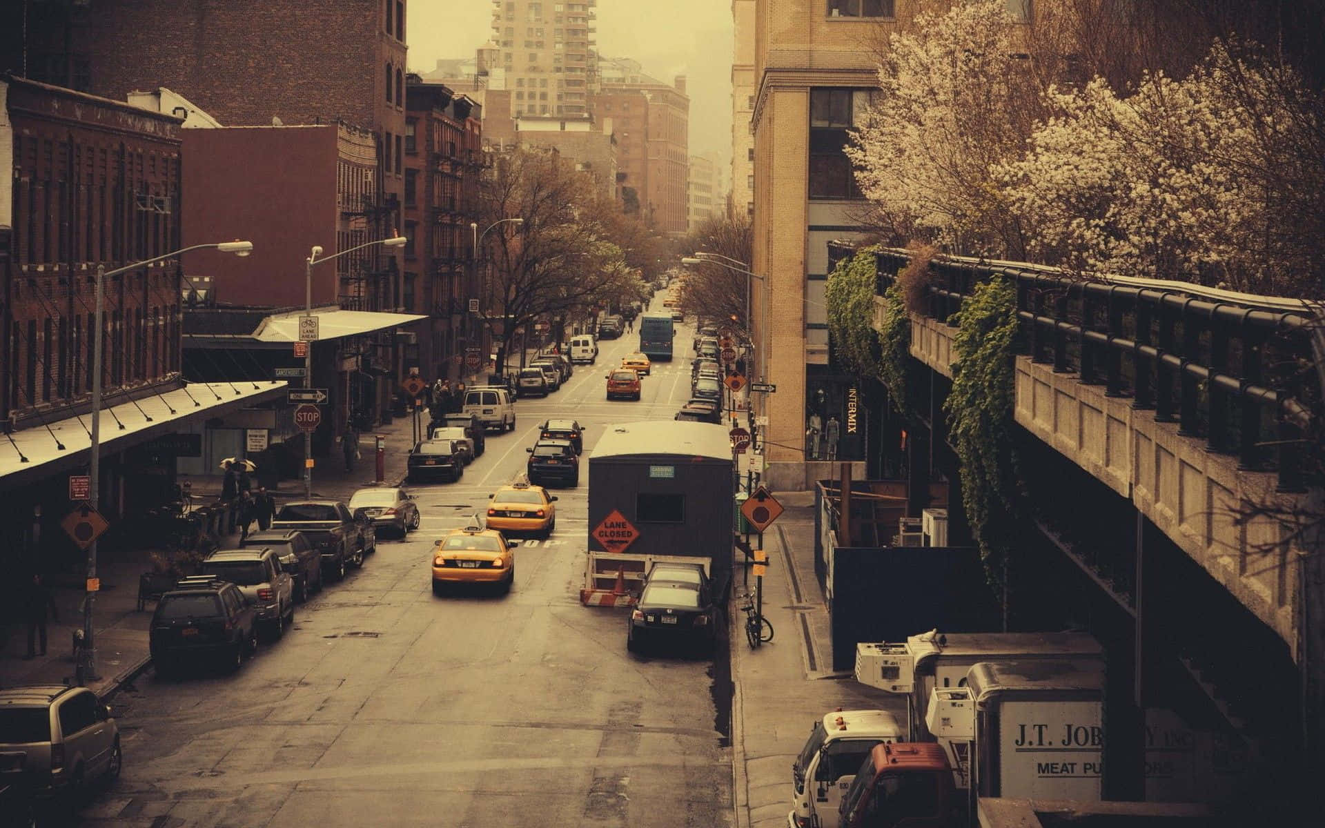 New York 桌布 壁紙 — 一條朦朧的城市街道，兩旁是磚砌建築、櫻花和黃色計程車，籠罩在溫暖的金色光芒中。