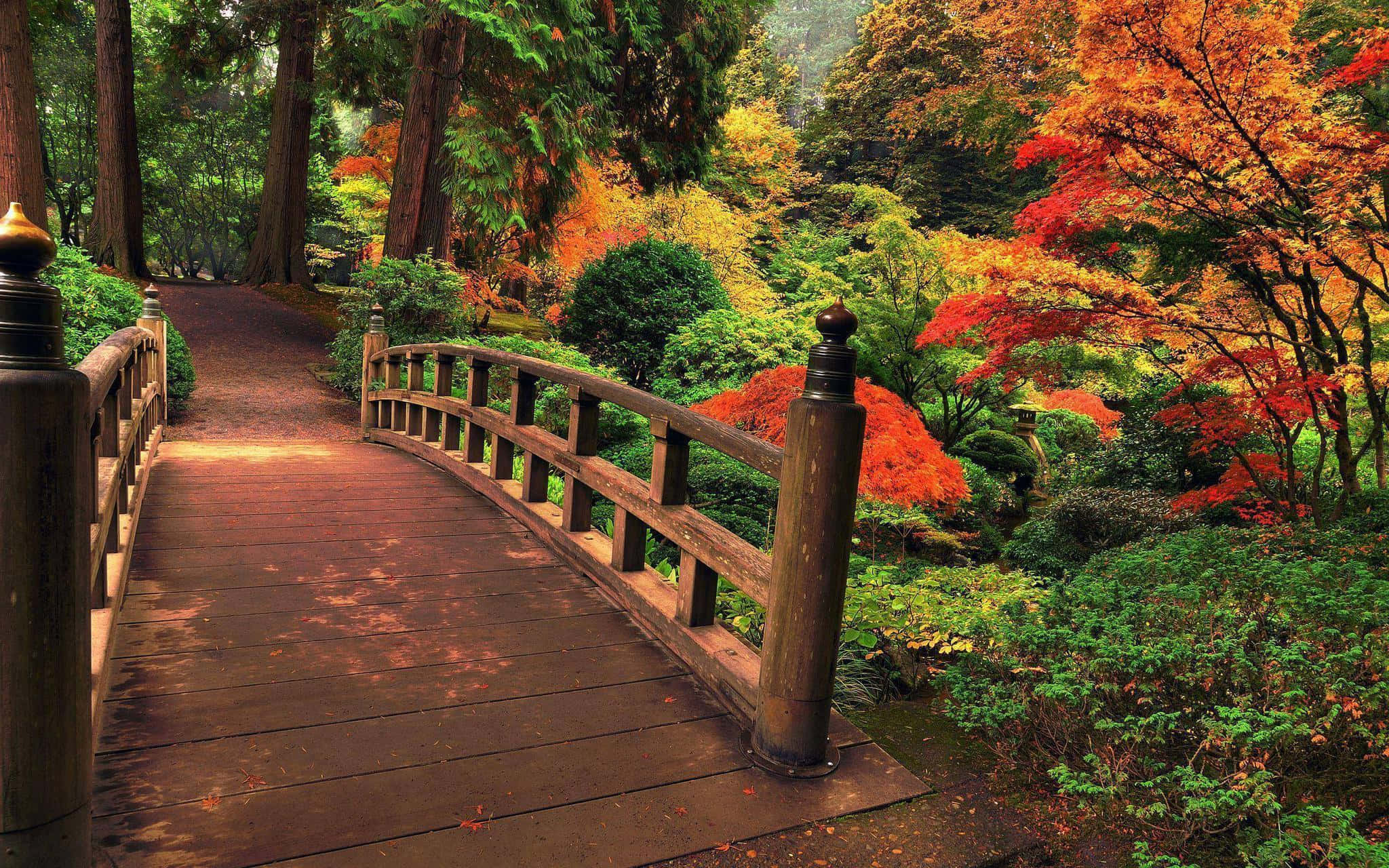 Samurai Garden 桌布 壁紙 — 一條木橋拱起在一條小徑上，穿過充滿火紅、橙和綠色樹葉的 vibrant 秋日森林。