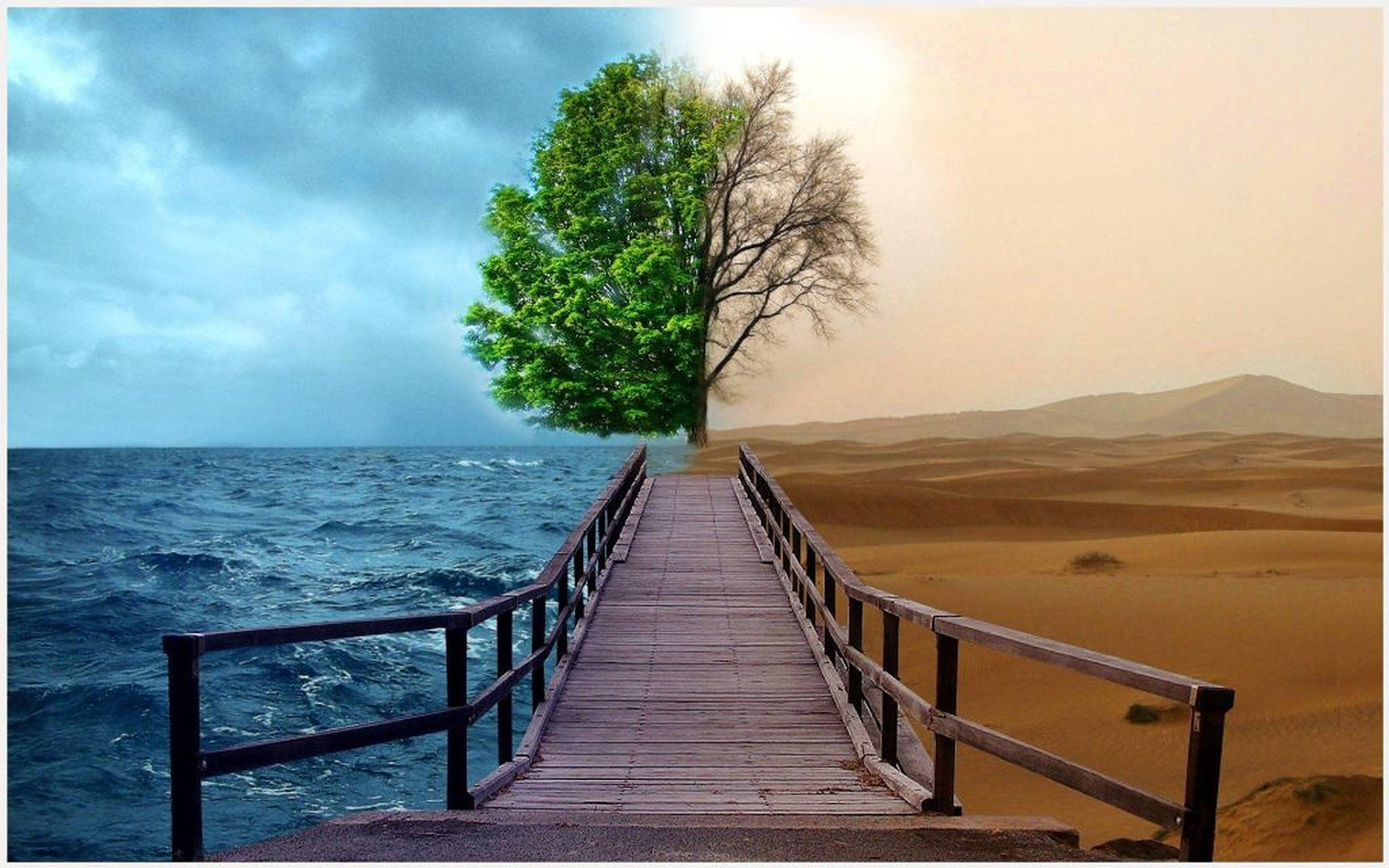 Weather 桌布 壁紙 — 一條木碼頭劃分超現實景觀，通往一棵樹，一半綠葉一半光禿的樹枝，背景是海洋和沙漠。