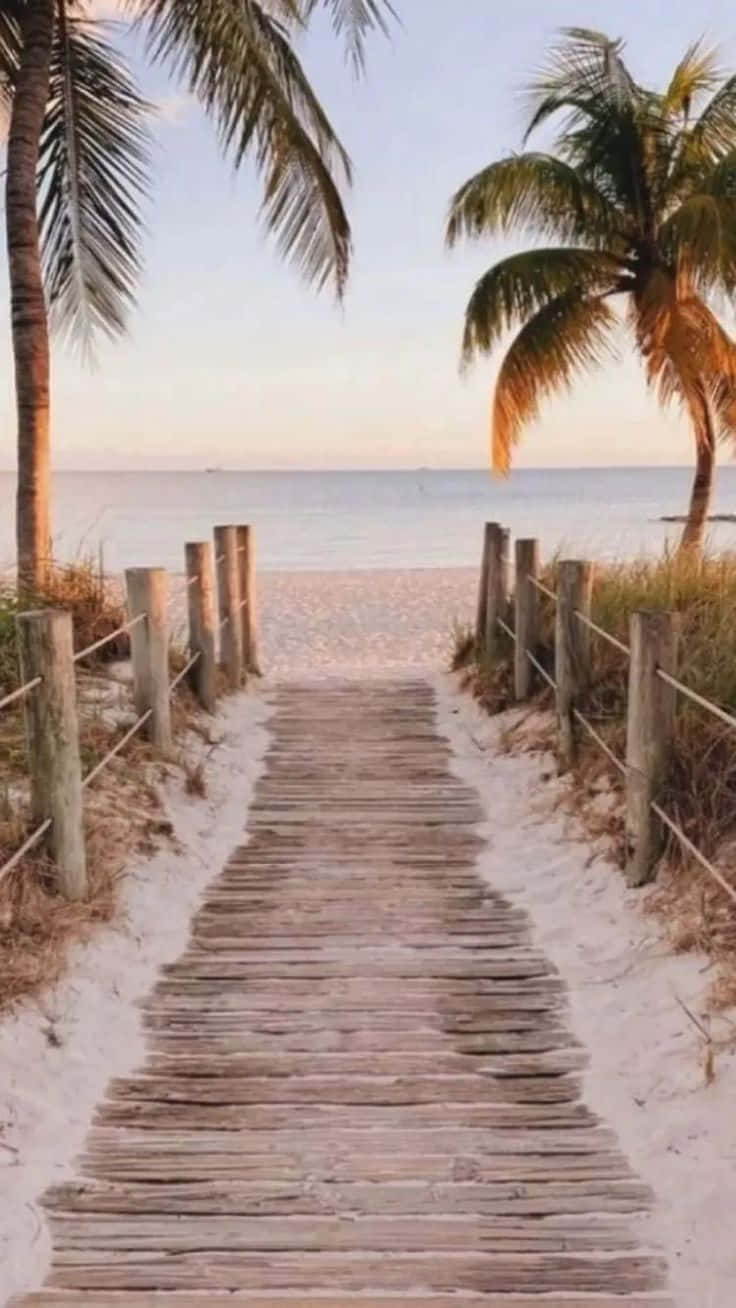 Palm Trees Beach 桌布 壁紙 — 一條木製棧道蜿蜒穿過沙丘，通往平靜的海洋，兩旁搖曳的棕櫚樹在金色日落中構成畫框。