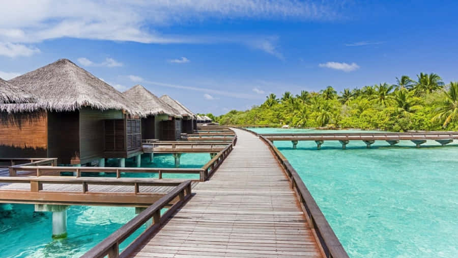 Beach Resort 桌布 壁紙 — 一條木製棧道蜿蜒穿過碧綠海水，經過茅草屋頂的水上平房，在明亮的藍天下。