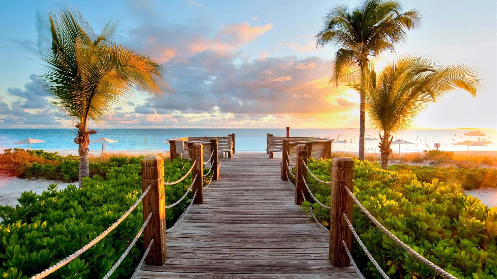 HD Beach 桌布 壁紙 — 一條木製步道，兩旁種滿棕櫚樹和茂密綠植，在溫暖的金色光芒中通往日落時分的寧靜海灘。