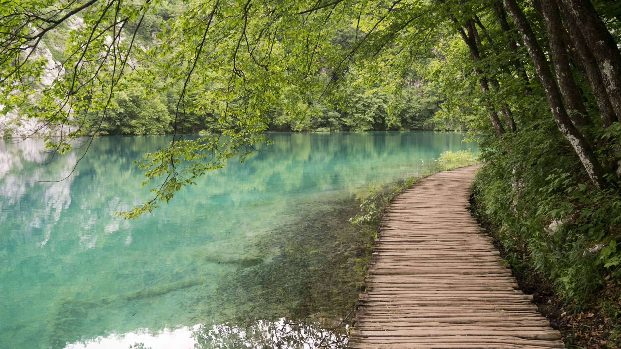 Lake 桌布 壁紙 — 一條木製步道蜿蜒穿過茂密的綠樹，沿著清澈的碧綠湖泊，湖面倒映著天空。