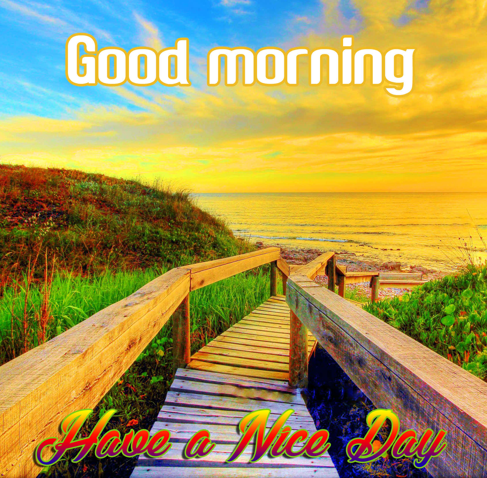 Good Morning 桌布 壁紙 — 一條木製步道通向海洋上金色的日出，天空充滿活力，沙丘綠意盎然。