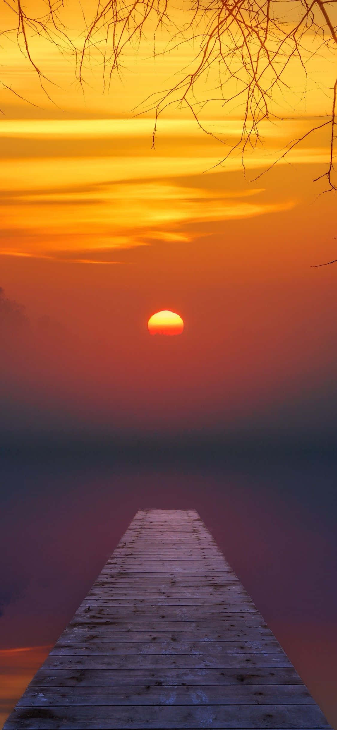 主畫面 桌布 壁紙 — 一條木製碼頭延伸到霧氣瀰漫的湖中，夕陽西下，光禿的樹枝框住一輪發光的橙色太陽。