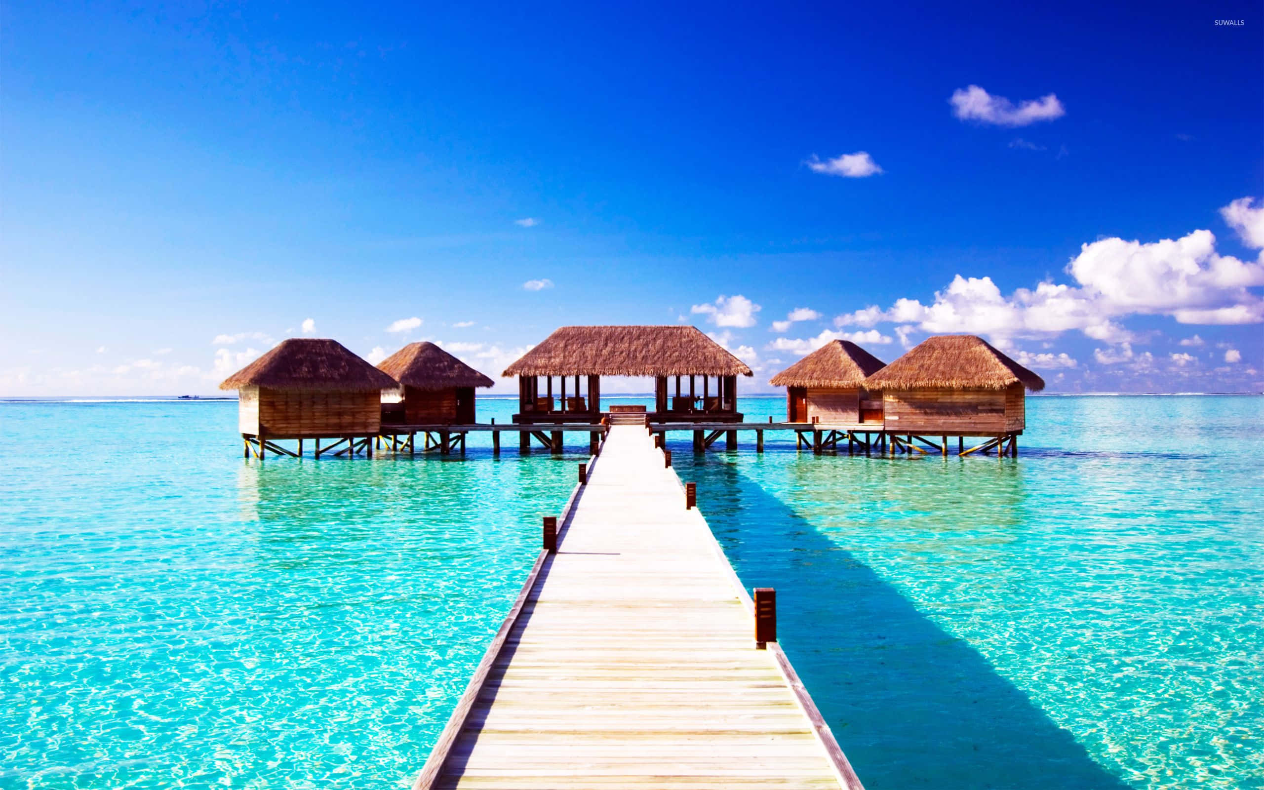 Maldives Beach 桌布 壁紙 — 一條木製碼頭延伸向茅草屋頂的水上平房，上方是藍天白雲。