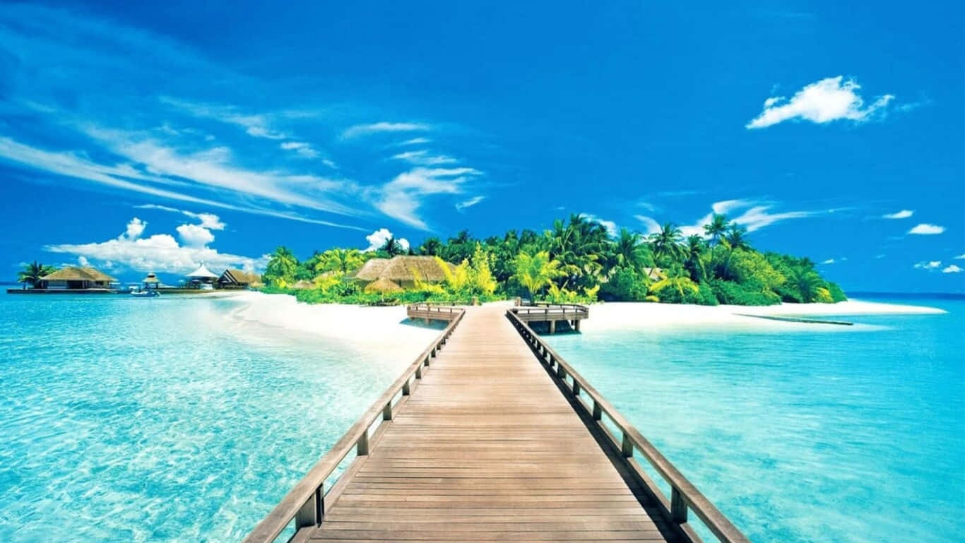 HD Beach 桌布 壁紙 — 一條木製碼頭延伸穿過碧綠色的海水，通往一個鬱鬱蔥蔥的熱帶島嶼，島上有茅草小屋，天空湛藍明亮。