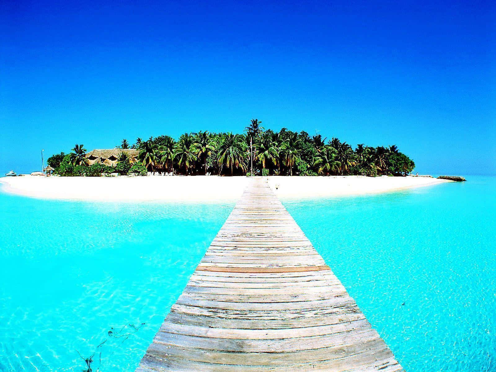 Beautiful Beach 桌布 壁紙 — 一條木製碼頭穿過清澈的碧綠海水，通往一個鬱鬱蔥蔥的熱帶島嶼，島上有棕櫚樹和茅草屋，天空湛藍。