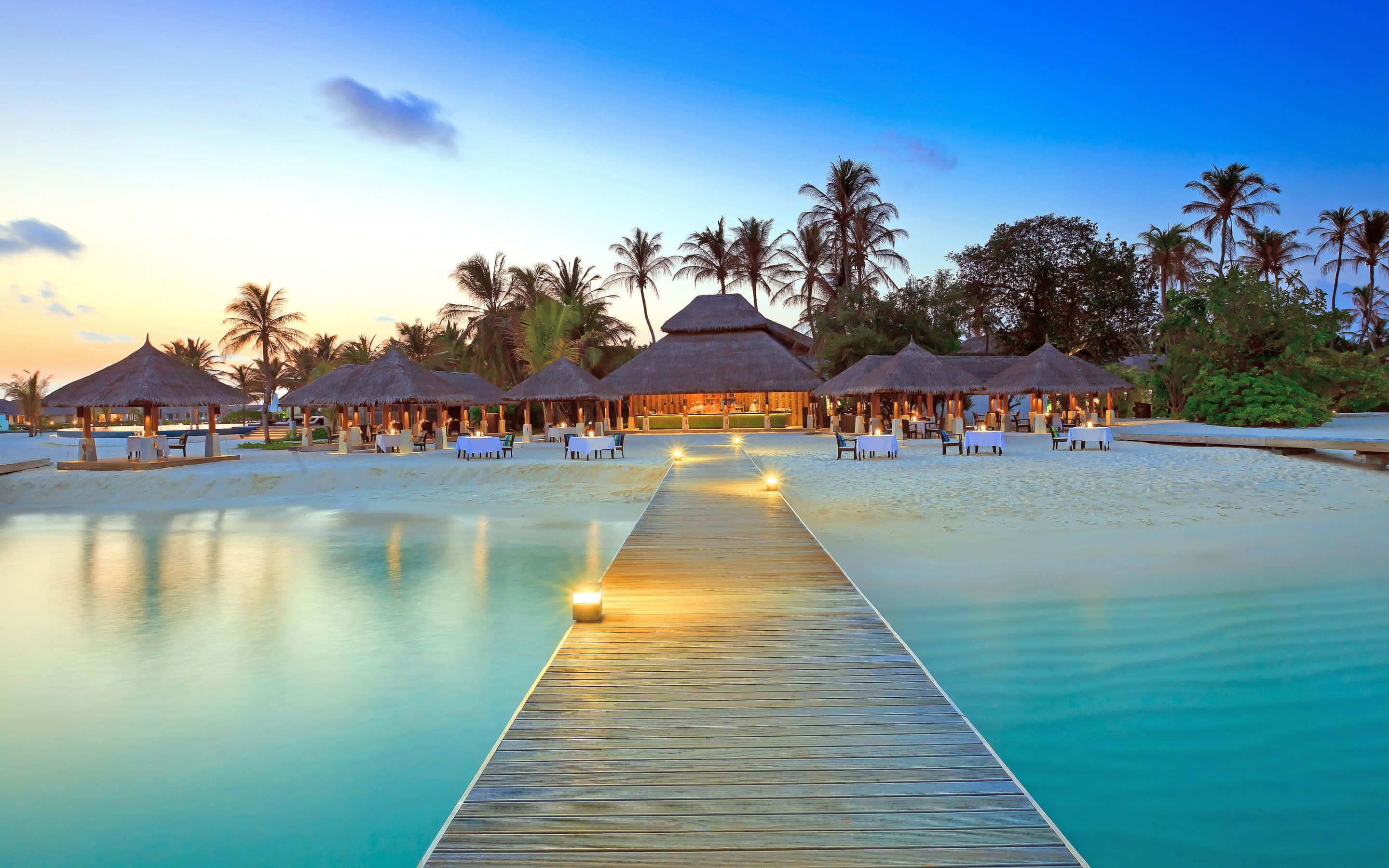 Maldives Beach 桌布 壁紙 — 一條木製碼頭穿過碧綠色的海水，在棕櫚樹和暮色天空下延伸至茅草屋頂的小屋。