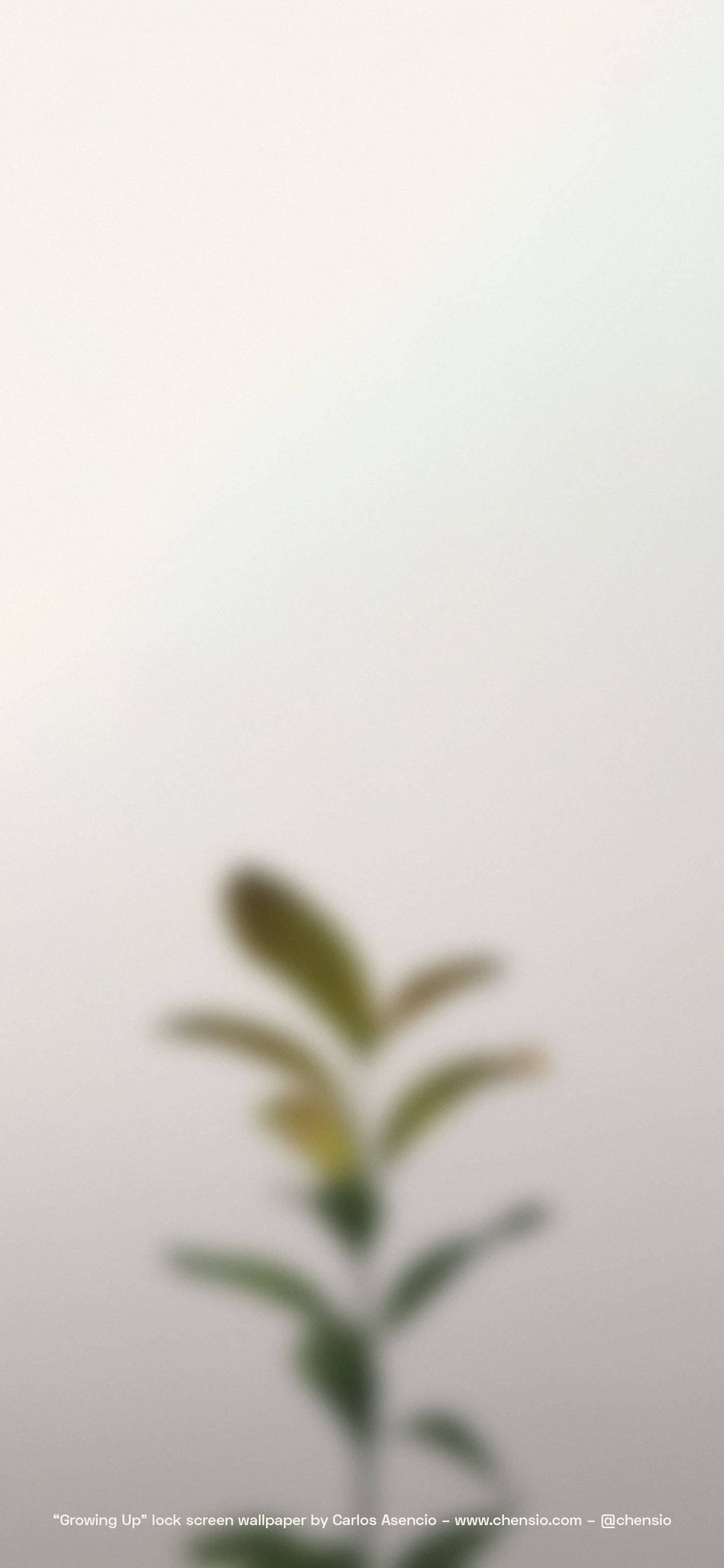 Beige iPhone 桌布 壁紙 — 一條柔和模糊的綠色植物莖連葉子，在淡灰色背景上豎立。