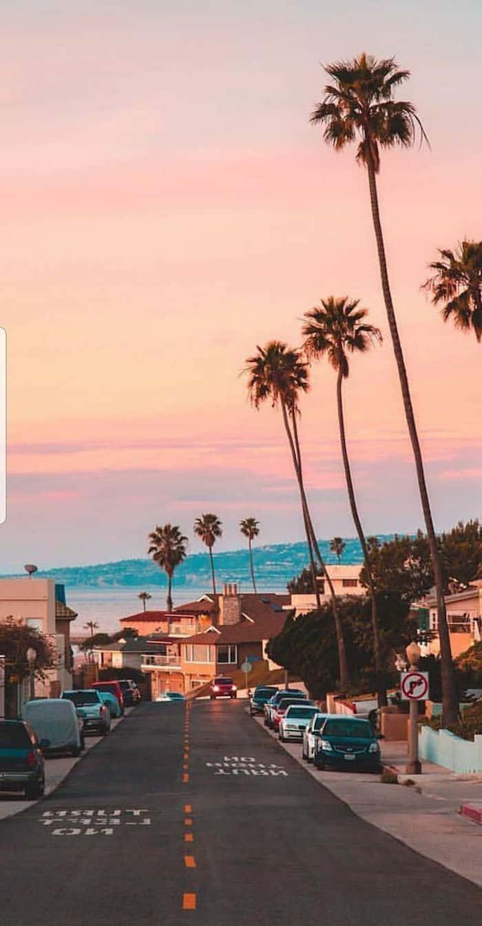 California Summer 桌布 壁紙 — 一條棕櫚樹成蔭的海岸街道，沐浴在柔和粉紅色的日落光線中，兩旁有房屋和停泊的汽車。