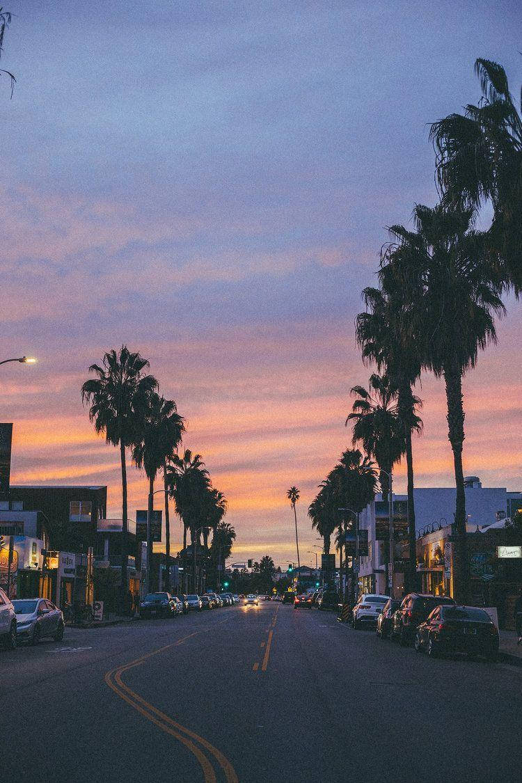 Venice Beach 桌布 壁紙 — 一條棕櫚樹成蔭的街道，沐浴在粉紅色和紫色的暮色中，路邊停滿了汽車。