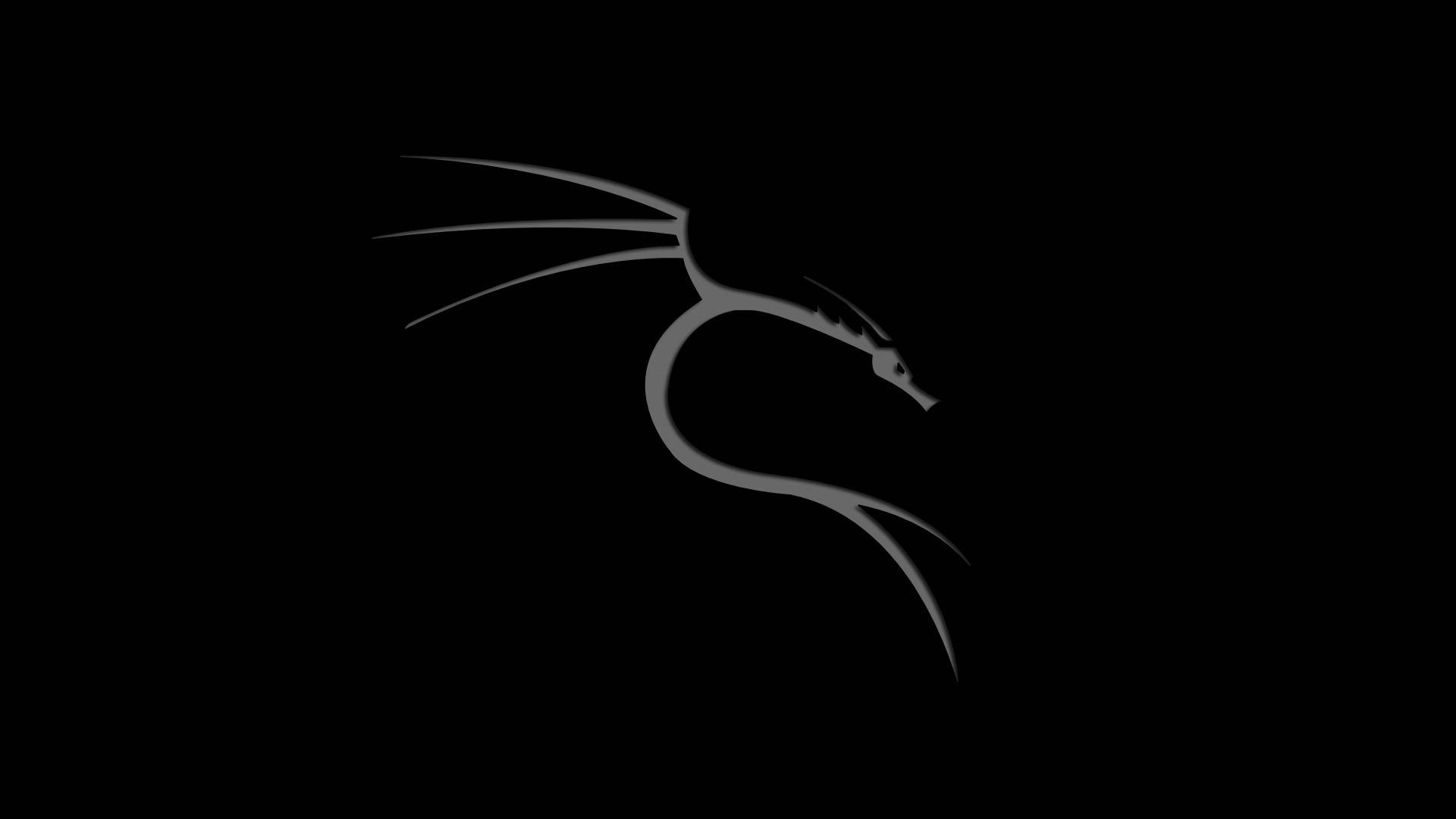 Kali Linux 桌布 壁紙 — 一條極簡風格的銀色龍剪影在純黑背景上微微發光。