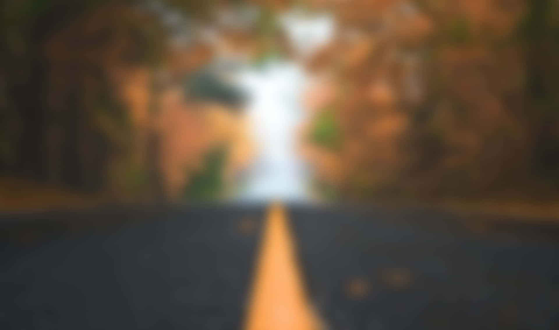 模糊的道路，黃色線條穿過秋日樹木通向明亮光線。 — Google Meet 壁紙