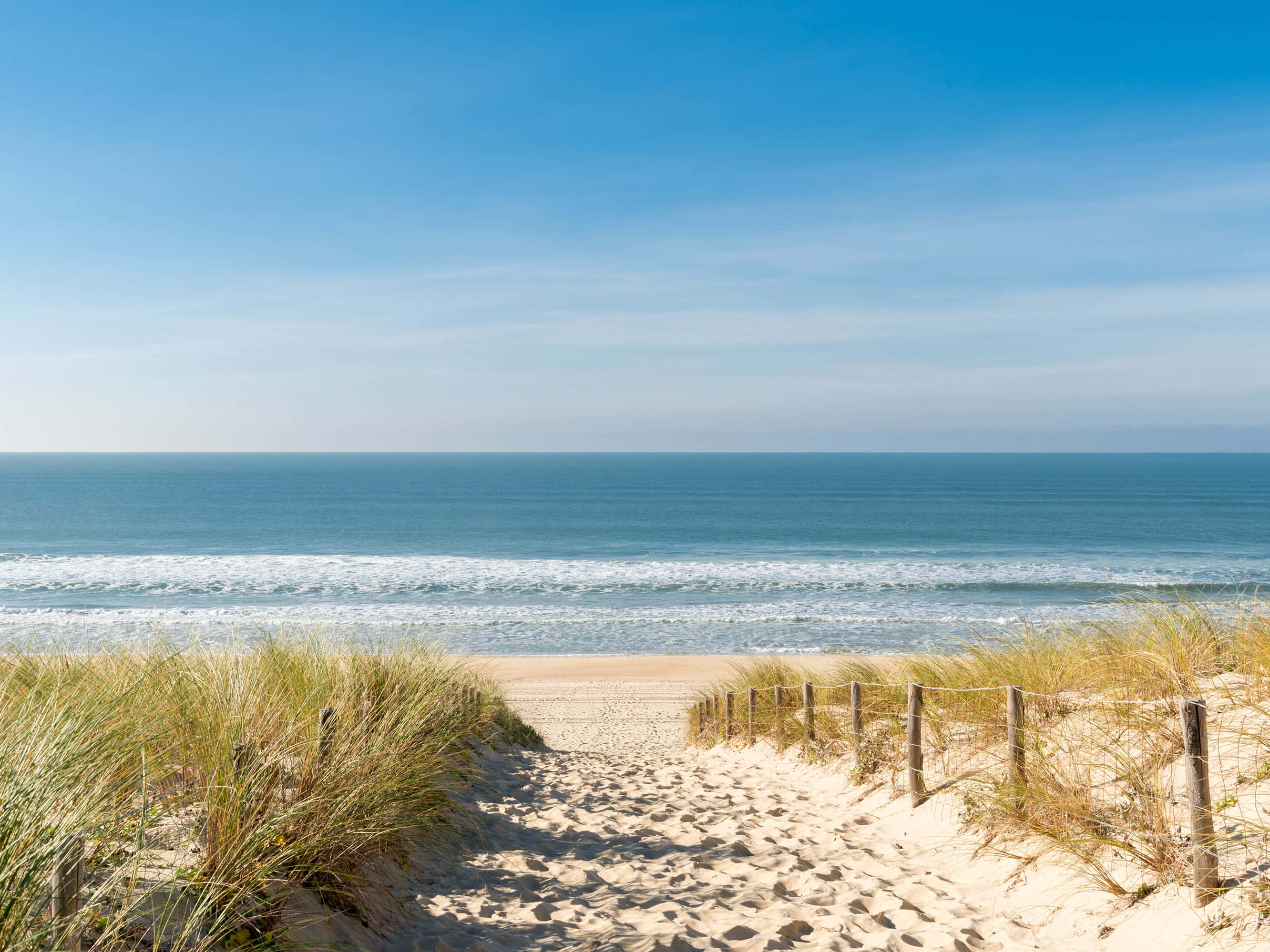 French Beach 桌布 壁紙 — 一條沙徑蜿蜒穿過金色沙丘，通向晴朗天空下平靜的藍色海洋。