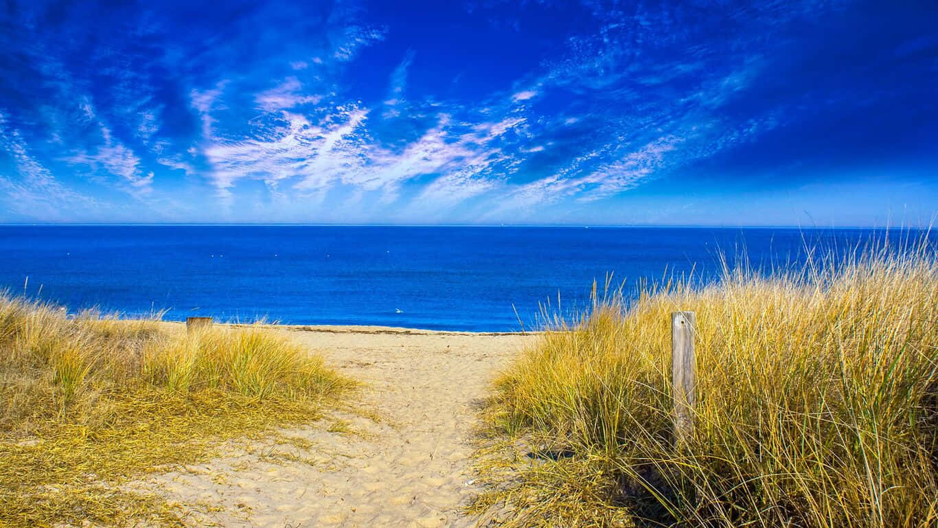 HD Beach 桌布 壁紙 — 一條沙徑蜿蜒穿過金色沙丘，通往廣闊的藍色海洋，天空戲劇性，雲朵輕柔。