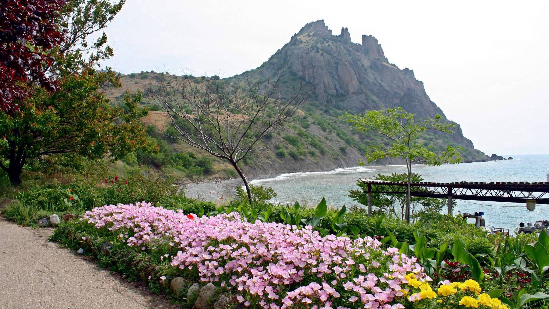 山脈 桌布 壁紙 — 一條沿海小路，兩旁開滿粉紅色和黃色的花朵，通向一個木製碼頭，俯瞰著岩石懸崖和陰天下的平靜大海。