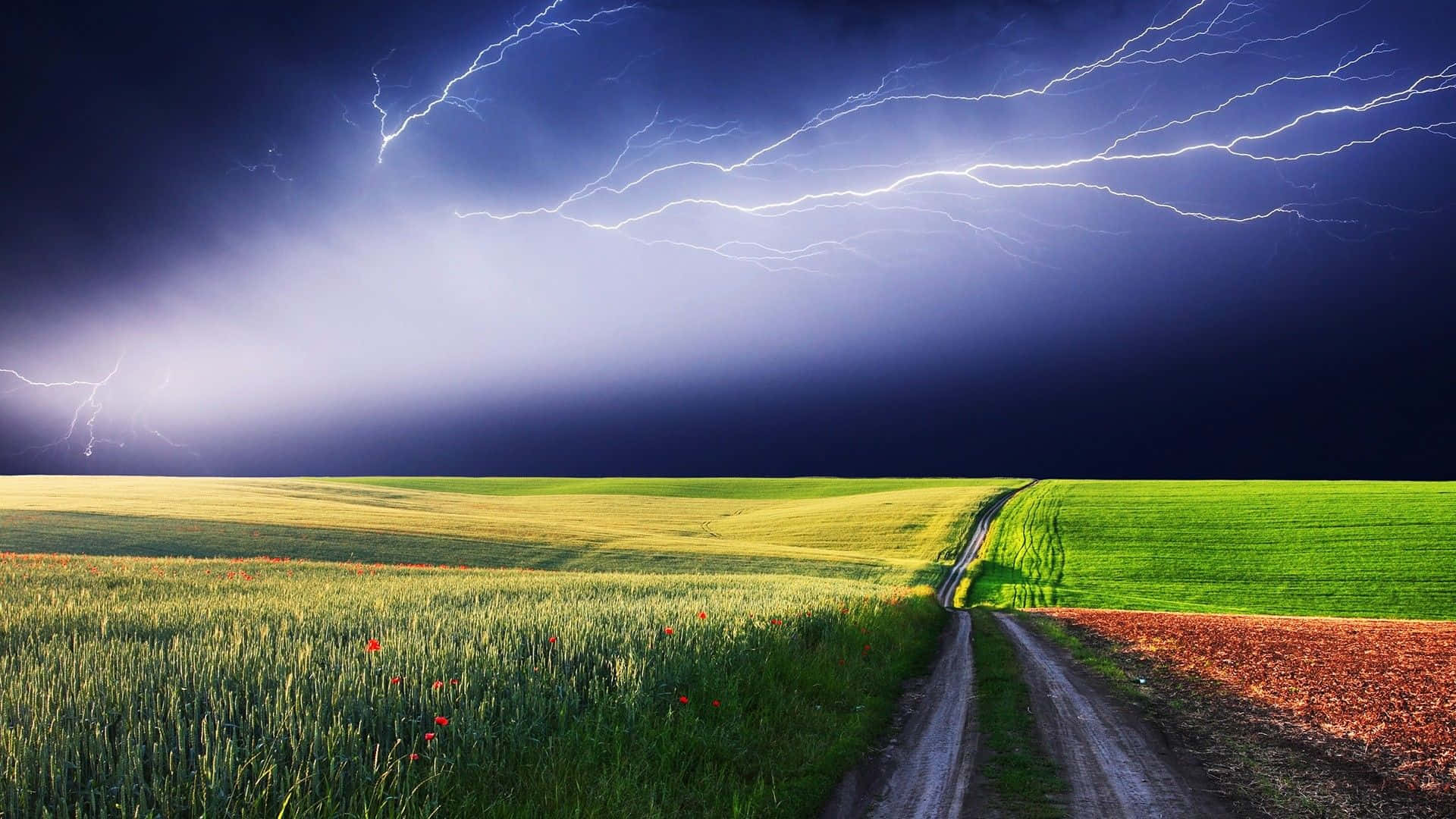Weather 桌布 壁紙 — 一條泥路在戲劇性的天空下，被鮮明的白色閃電照亮，分割了鮮綠色和紅褐色的田野。