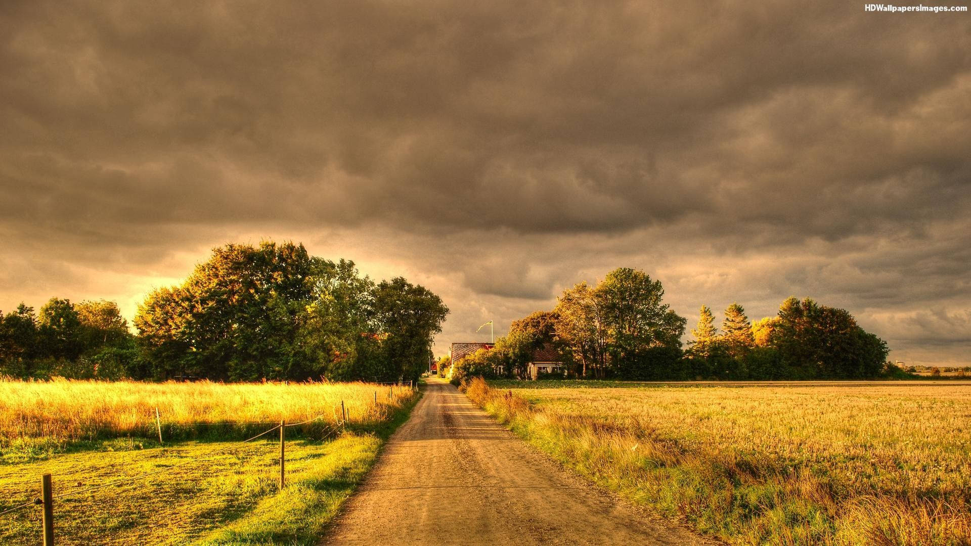 Country Road 桌布 壁紙 — 一條泥路蜿蜒穿過金色田野，上方是戲劇性的暴風雨天空，陽光穿透雲層。
