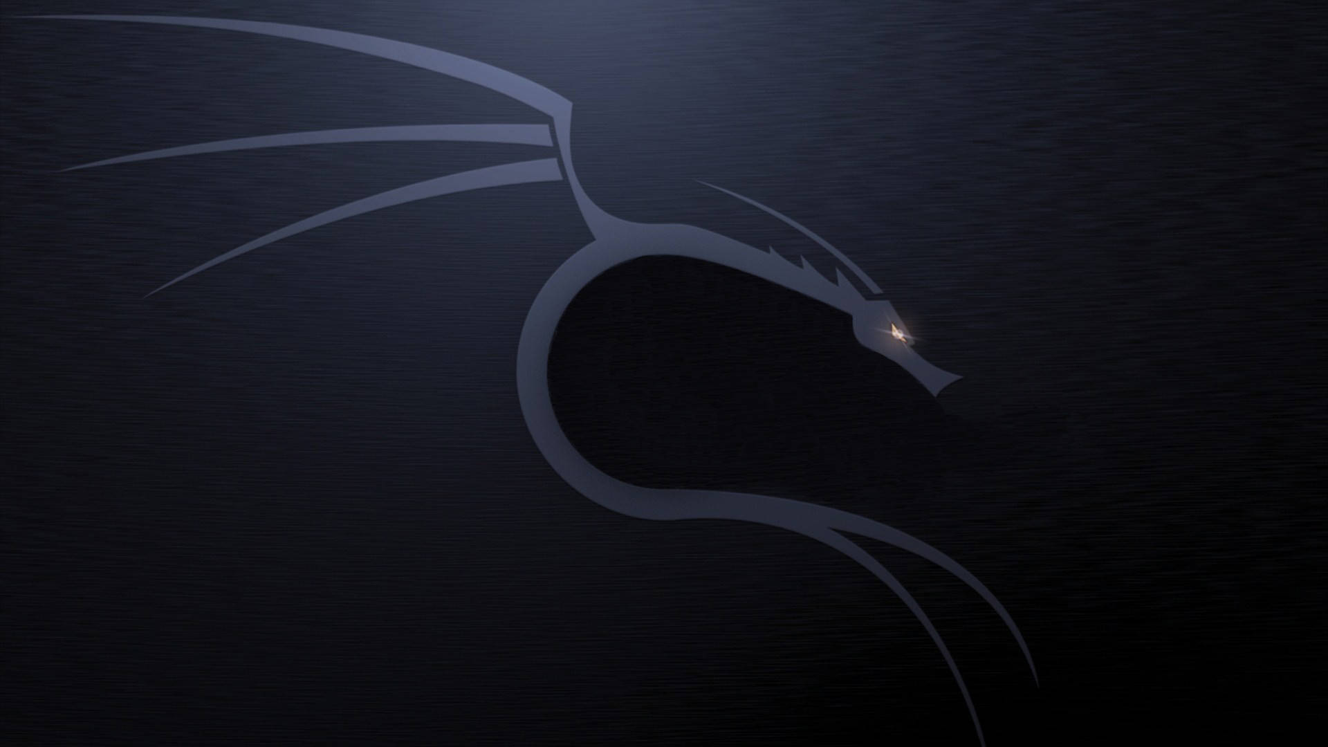Kali Linux 桌布 壁紙 — 一條流暢的銀色龍剪影在深色紋理背景上閃耀著一隻明亮的眼睛。
