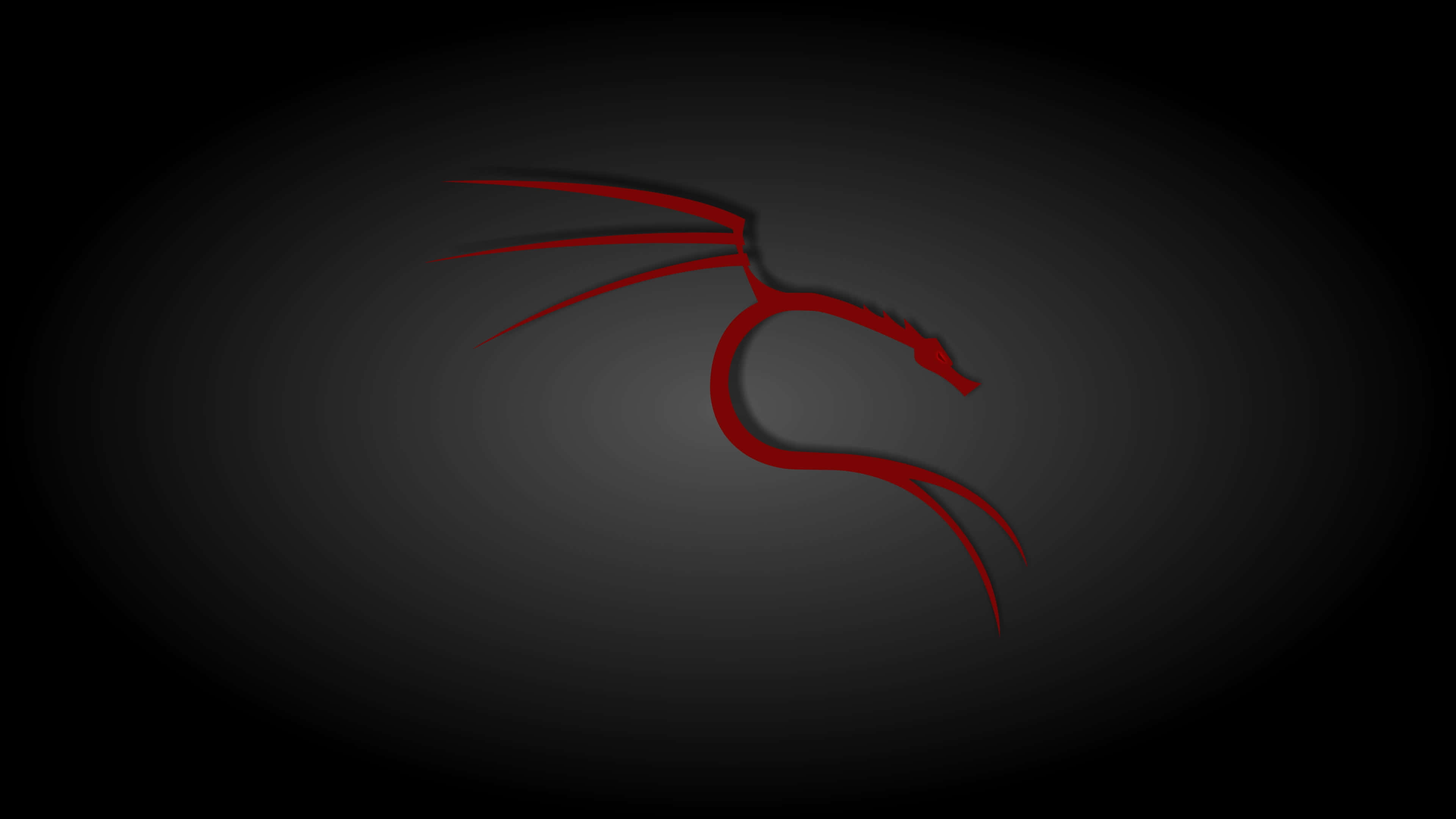 Kali Linux 桌布 壁紙 — 一條流線型的紅色龍剪影在深色漸變背景上優雅地彎曲。