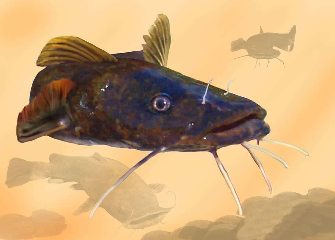 魚 桌布 壁紙 — 一條深藍色鯰魚帶有突出的鬍鬚，在渾濁的水中游泳，並有其他魚的模糊剪影的詳細插圖。