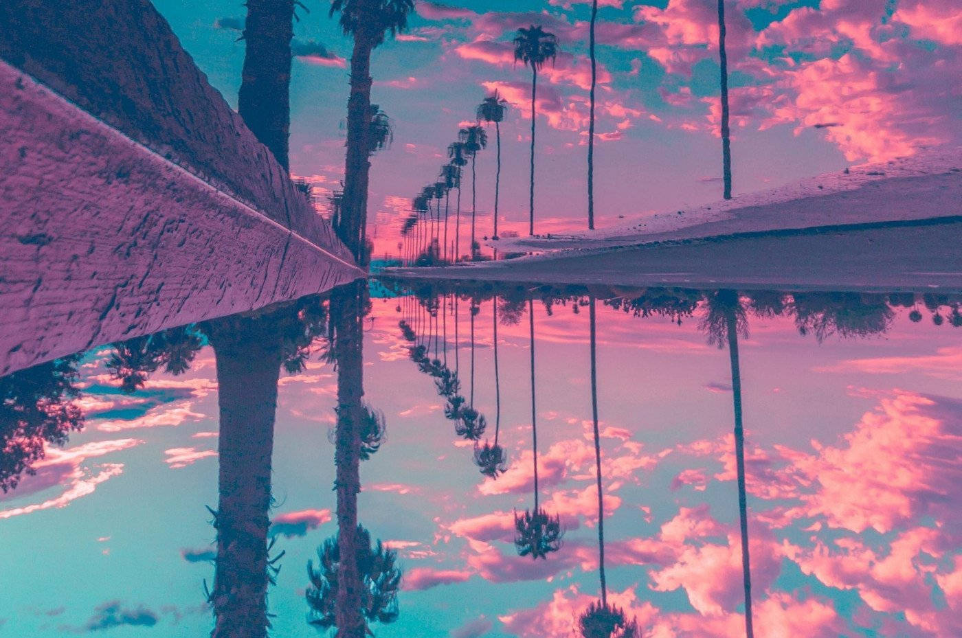 pastel 桌布 壁紙 — 一條混凝土小徑兩旁棕櫚樹下的水坑中，倒映著超現實的粉紅和藍綠色日落。