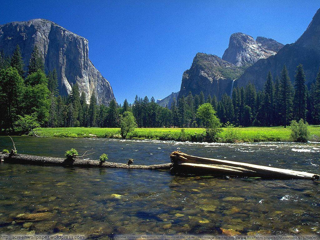 山景 桌布 壁紙 — 一條清澈的河流流過一根倒下的圓木，穿過一片充滿活力的綠色草地，四周環繞著高聳的花崗岩懸崖和茂密的松樹林，在燦爛的藍天下。