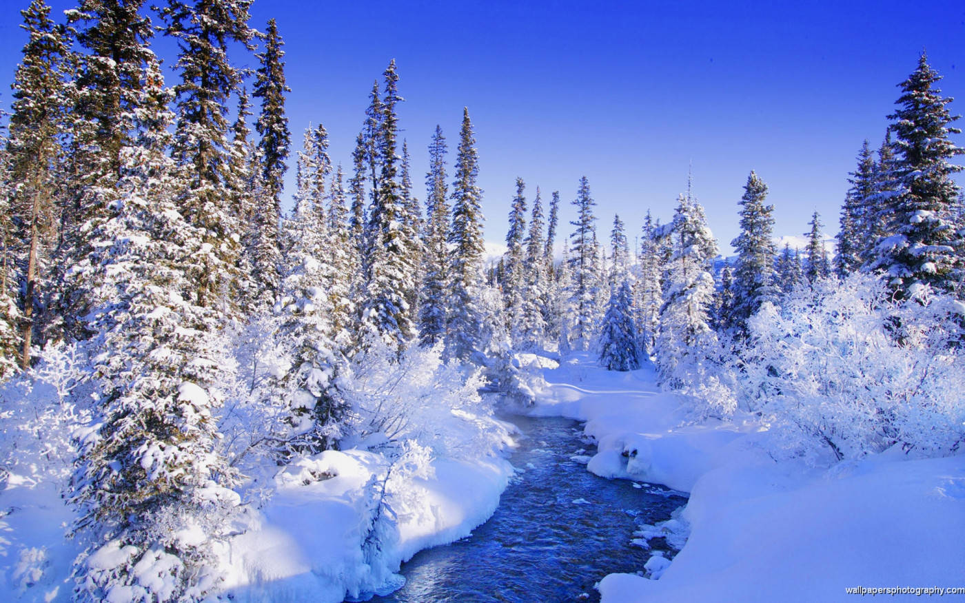 Winter 桌布 壁紙 — 一條清澈見底的小溪蜿蜒穿過白雪覆蓋的森林，在充滿活力的藍色冬日天空下。