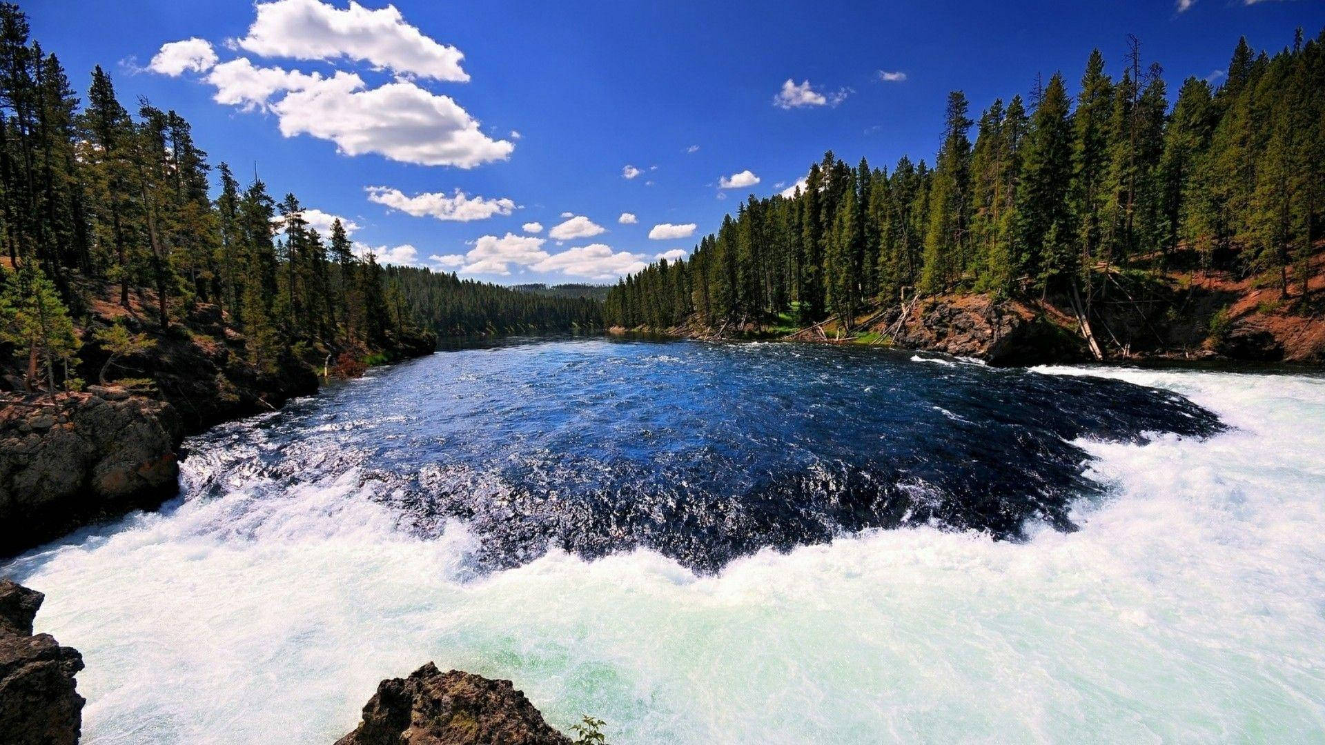 Yellowstone 桌布 壁紙 — 一條湍急的河流，帶有泡沫般的白色水流，衝過岩石，周圍是茂密的常綠森林，上方是明亮的藍天，點綴著幾朵雲。